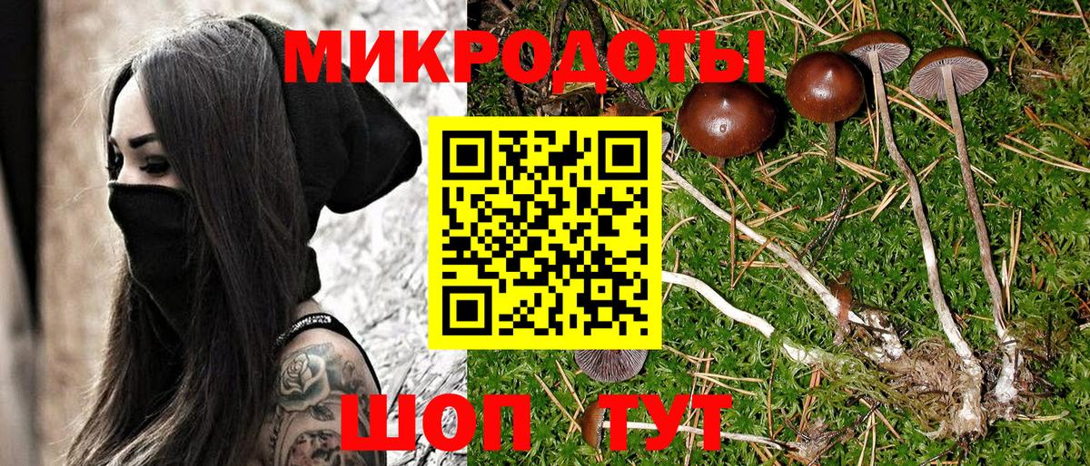 где купить наркоту  Галлюциногенные грибы MAGIC MUSHROOMS  Вход с VPN  Псилоцибиновые грибы Psilocybine cubensis  Балахна 