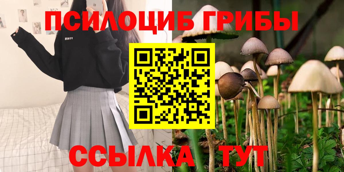 Галлюциногенные грибы Magic Shrooms Балахна